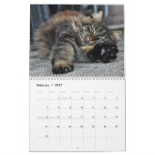 メインクーンキティキャットキュート2021 カレンダー (2月 2027)