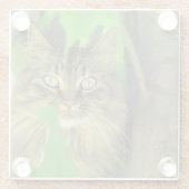 メインクーンキャットインツリー ガラスコースター (裏面)