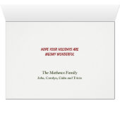 メインクーンキャットウィッカーバスケットクリスマスツリー (内部横(下))