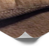 メインクーンキャットオンソファ ポスター (角)