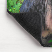 メインクーンキャットオンブリック マウスパッド (コーナー)