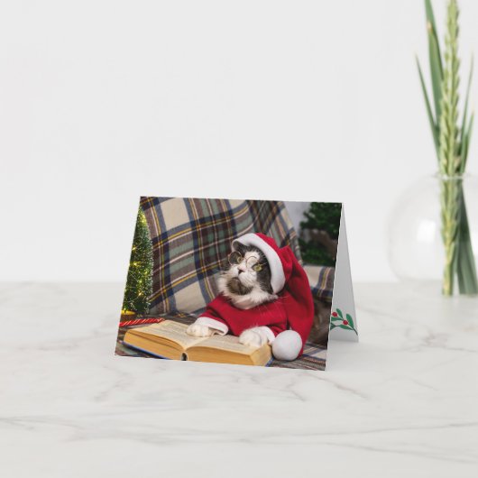 メインクーンキャットクリスマスポートレート シーズンカード (正面)