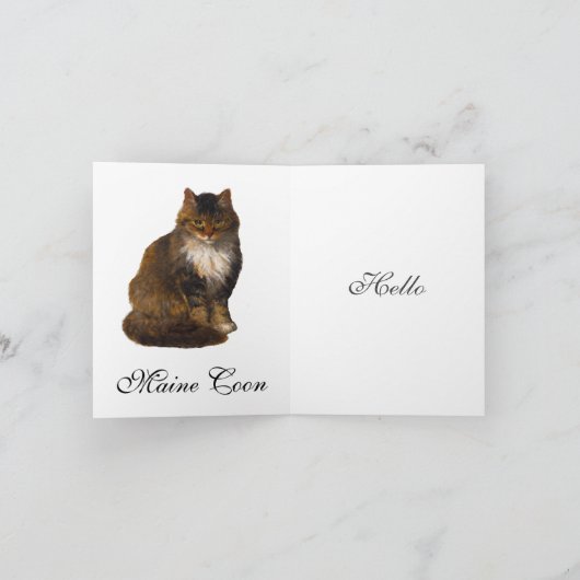 メインクーンキャット色彩の鮮やかポートレートアートハロー サンキューカード (内部)