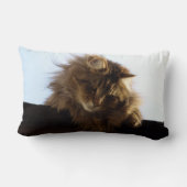 メインクーンロングヘアタブビーキャットアニマルペット ランバークッション (裏面)