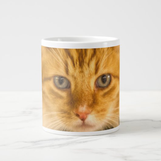 メインクーン猫の睨み合い ジャンボコーヒーマグカップ (正面)