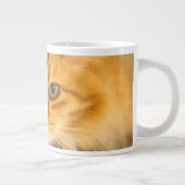 メインクーン猫の睨み合い ジャンボコーヒーマグカップ (右)
