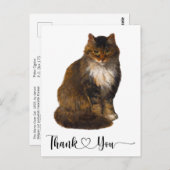 メインクーン猫の肖像画アート　感謝のメッセージ　ハート ポストカード (正面/裏面)
