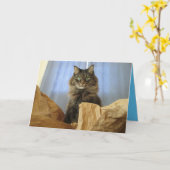 メインクーン キティ キャット かわいい オーダーメイド カード (黄色い花)