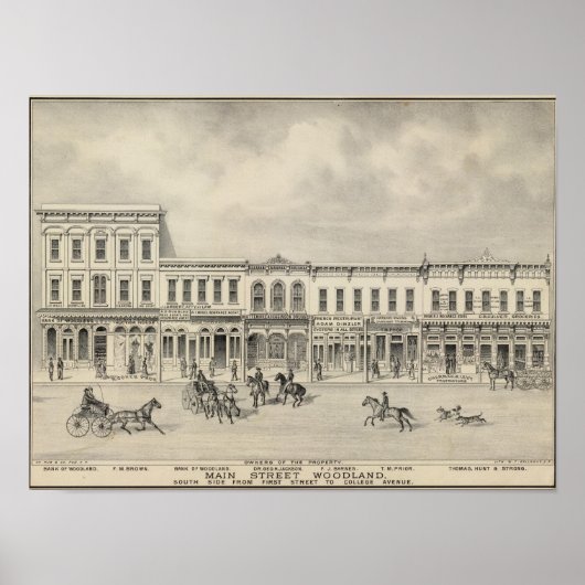 メインセントウッドランド2 ポスター (正面)