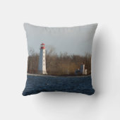 メインダックアイランドライトスクエア枕 クッション (裏面)