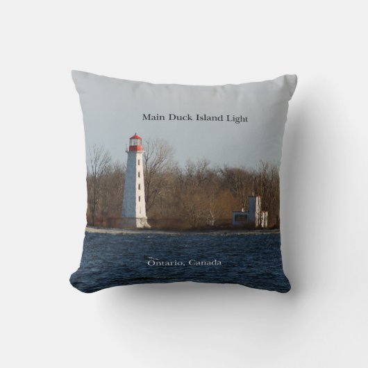 メインダックアイランドライトスクエア枕 クッション (正面)