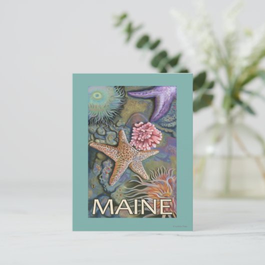 メインティデプールシーン ポストカード (スタンド正面)