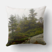 メインパイン大きい石アカディア写真 クッション (裏面)