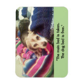 "メインベッド撮影/ドッグベッド無料" 3x4フォトマグネット マグネット (縦)