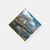 メインポートランドヘッドライトハウスフォト スタンダードカクテルナプキン (角)