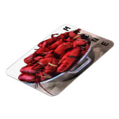 メインロブスター マグネット (左側)