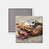 メインロブスター マグネット (正面/裏面)