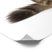 メイン威厳のあるクーンアート ポスター (角)