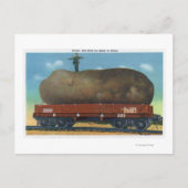 メイン州で栽培される種類のジャガイモの見解 ポストカード (正面)