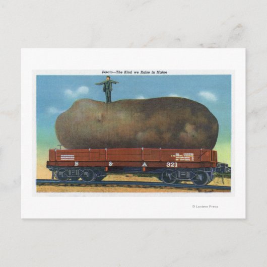 メイン州で栽培される種類のジャガイモの見解 ポストカード (正面)