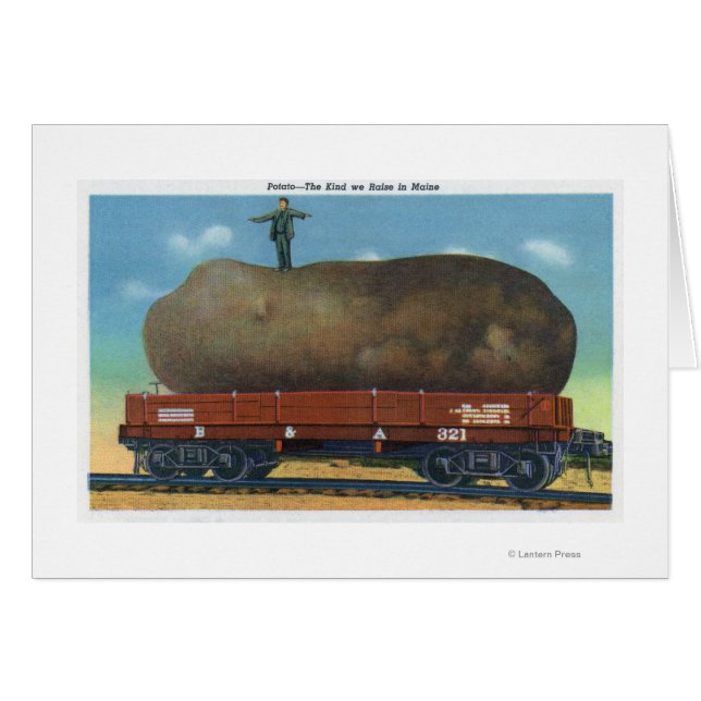 メイン州で育てられたジャガイモの種類の見解 (正面横)