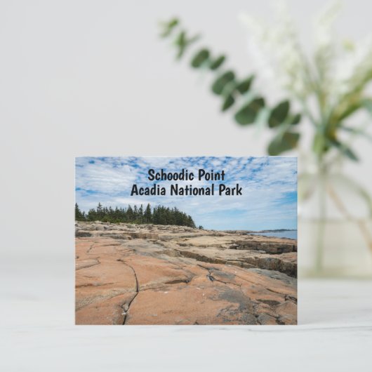 メイン州のアカディア国立公園のスコーディック・ポイント ポストカード (スタンド正面)