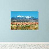 メイン州のカターヒンバクスター州パーク キャンバスプリント (インサイチュ (ウッドフロア))