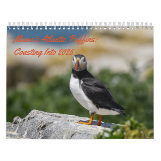 メイン州のニシツブクロウ(Atlantic Puffins): 2026年へと向かって カレンダー