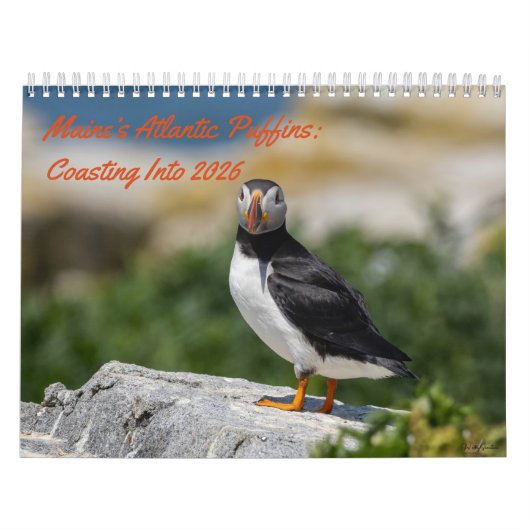 メイン州のニシツブクロウ(Atlantic Puffins): 2026年へと向かって カレンダー (カバー)