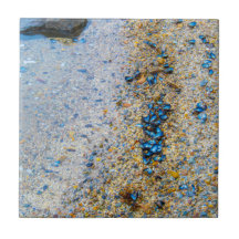 メイン州のムッセルシェル