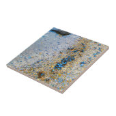 メイン州のムッセルシェル タイル (側面)