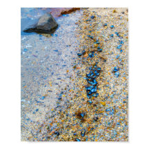 メイン州のムッセルシェル