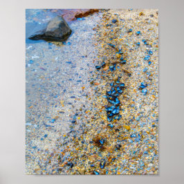 メイン州のムッセルシェル ポスター