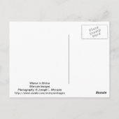 メイン州の冬 ポストカード (裏面)