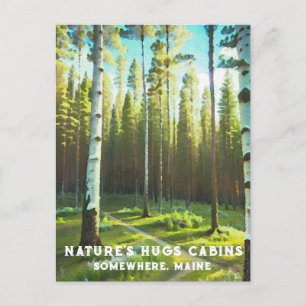 *~* メイン州の森　ビューチ　常緑樹 AP49 ポストカード