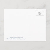 メイン州の白黒ペマキドポイントライトハウス ポストカード (裏面)