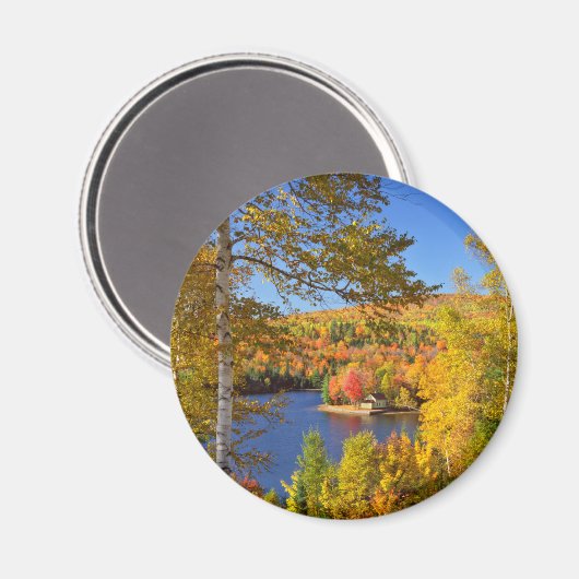 メイン州の秋の木の風景 マグネット (正面/裏面)
