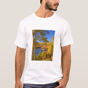 メイン州の秋の樹木風景 Tシャツ
