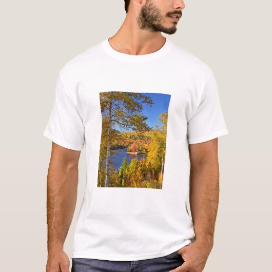 メイン州の秋の樹木風景 Tシャツ (正面)