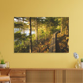 メイン州アカディア国立公園の木造の歩道 キャンバスプリント (インサイチュ (リビング))