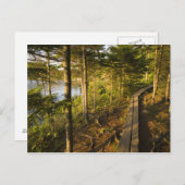 メイン州アカディア国立公園の木造の歩道 ポストカード (正面/裏面)