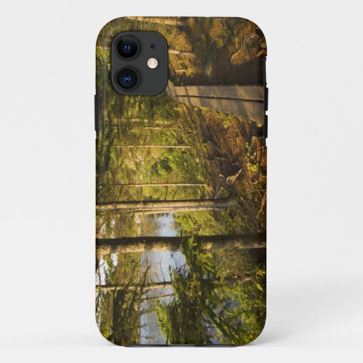 メイン州アカディア国立公園の木道 Case-Mate iPhoneケース (裏面)