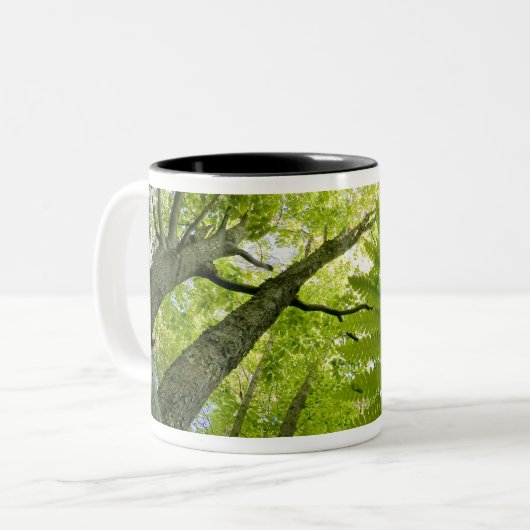 メイン州アカディア国立公園の森の風景。 ツートーンマグカップ (正面左)
