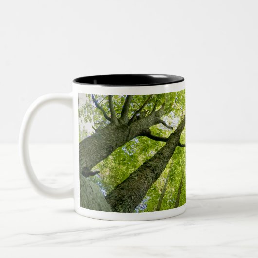 メイン州アカディア国立公園の森の風景。 ツートーンマグカップ (左)