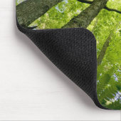 メイン州アカディア国立公園の森の風景。 マウスパッド (コーナー)