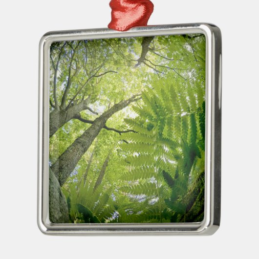 メイン州アカディア国立公園の森の風景。 メタルオーナメント (左)
