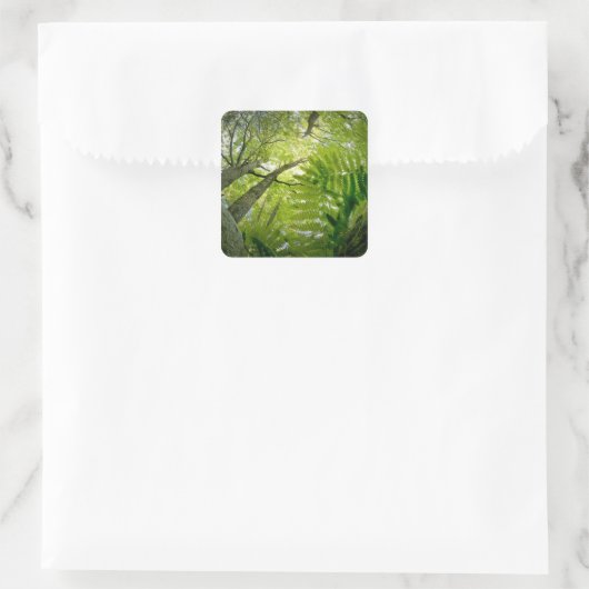 メイン州アカディア国立公園の森林の風景。 スクエアシール (バッグ)