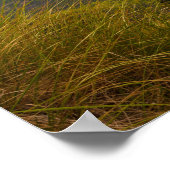 メイン州アカディア国立公園の蜂の巣 ポスター (角)