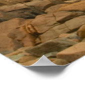 メイン州アカディア国立公園クラギー海岸 ポスター (角)