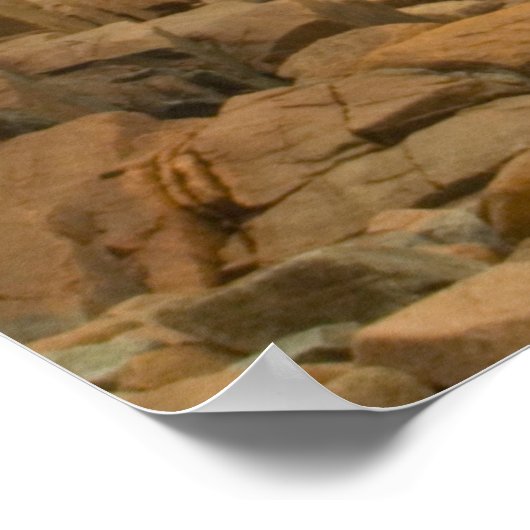 メイン州アカディア国立公園クラギー海岸 ポスター (角)